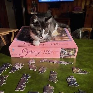 Meet your Posher, Lee